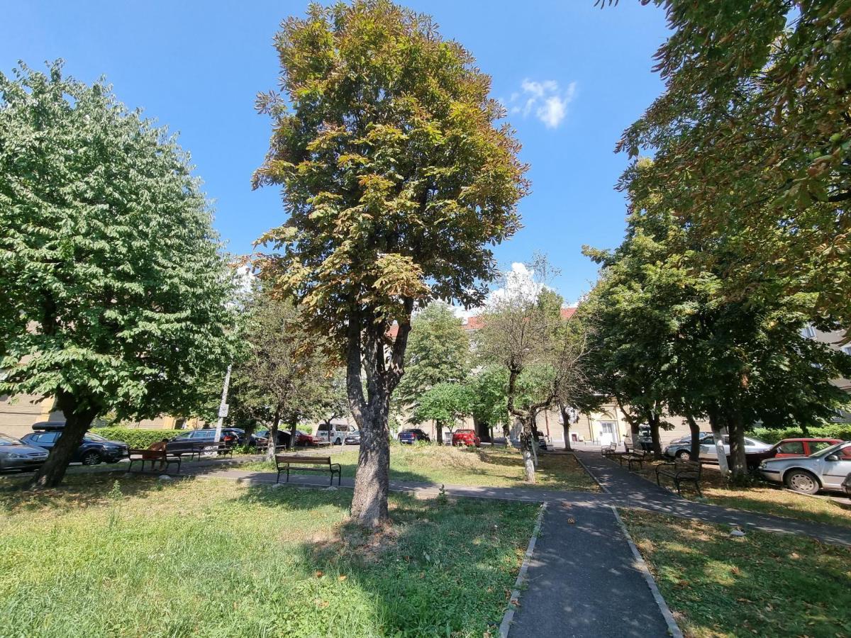 Ultra-Central 1 Bed Apartment, Str Nicolae Iorga Baia Mare Extérieur photo