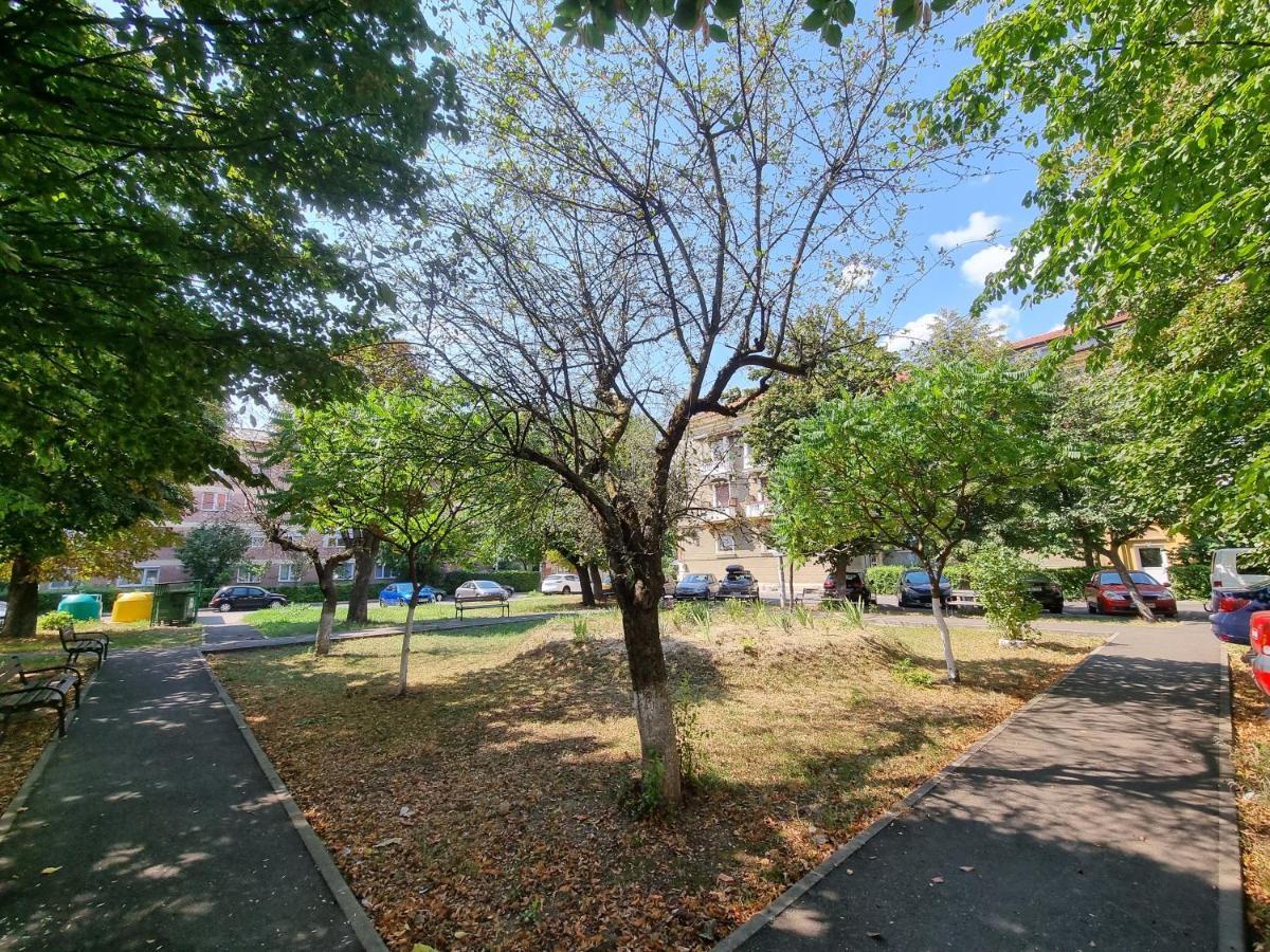 Ultra-Central 1 Bed Apartment, Str Nicolae Iorga Baia Mare Extérieur photo